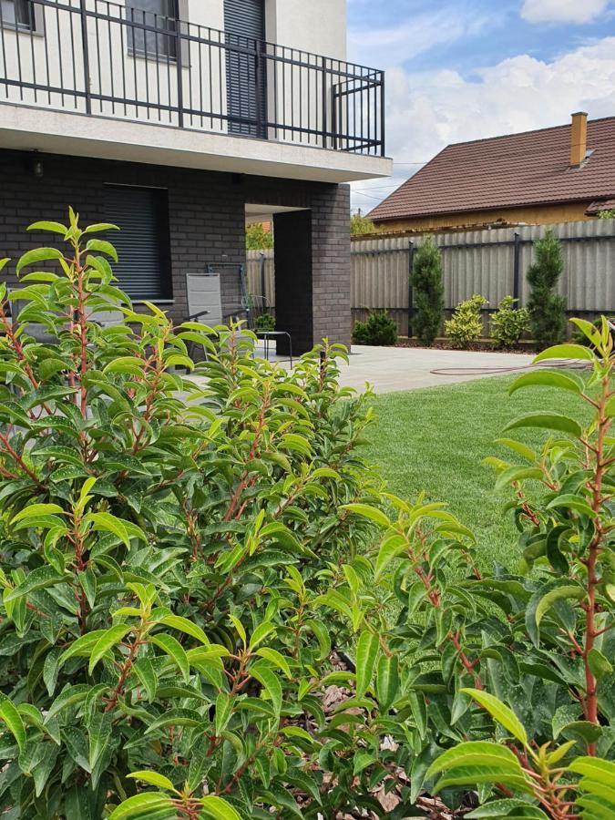 فيلا Tweed House بودابست المظهر الخارجي الصورة